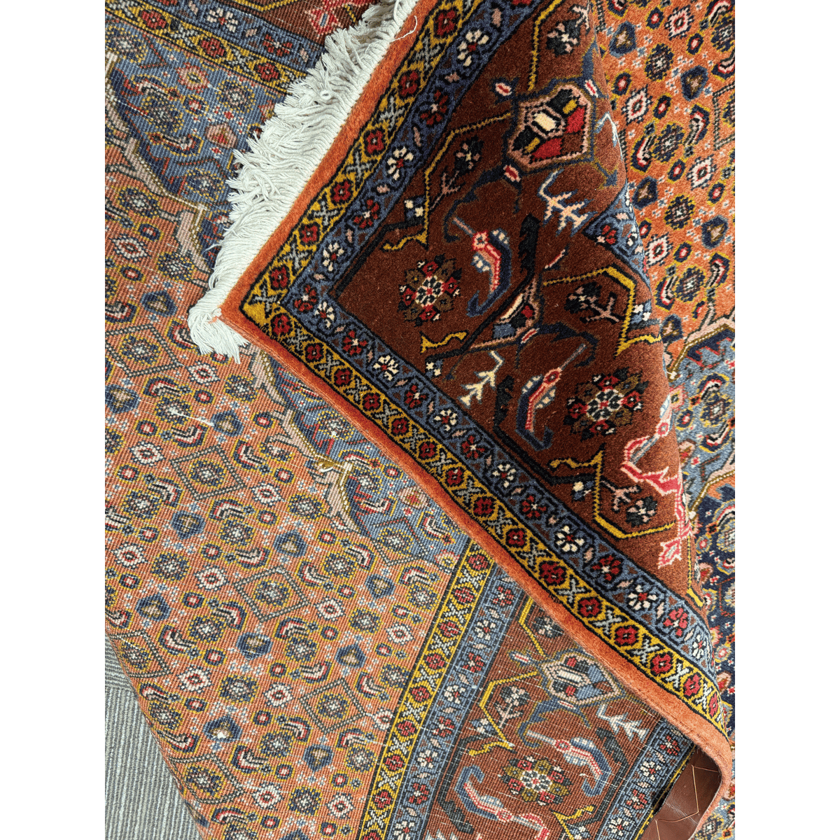 MASHAD