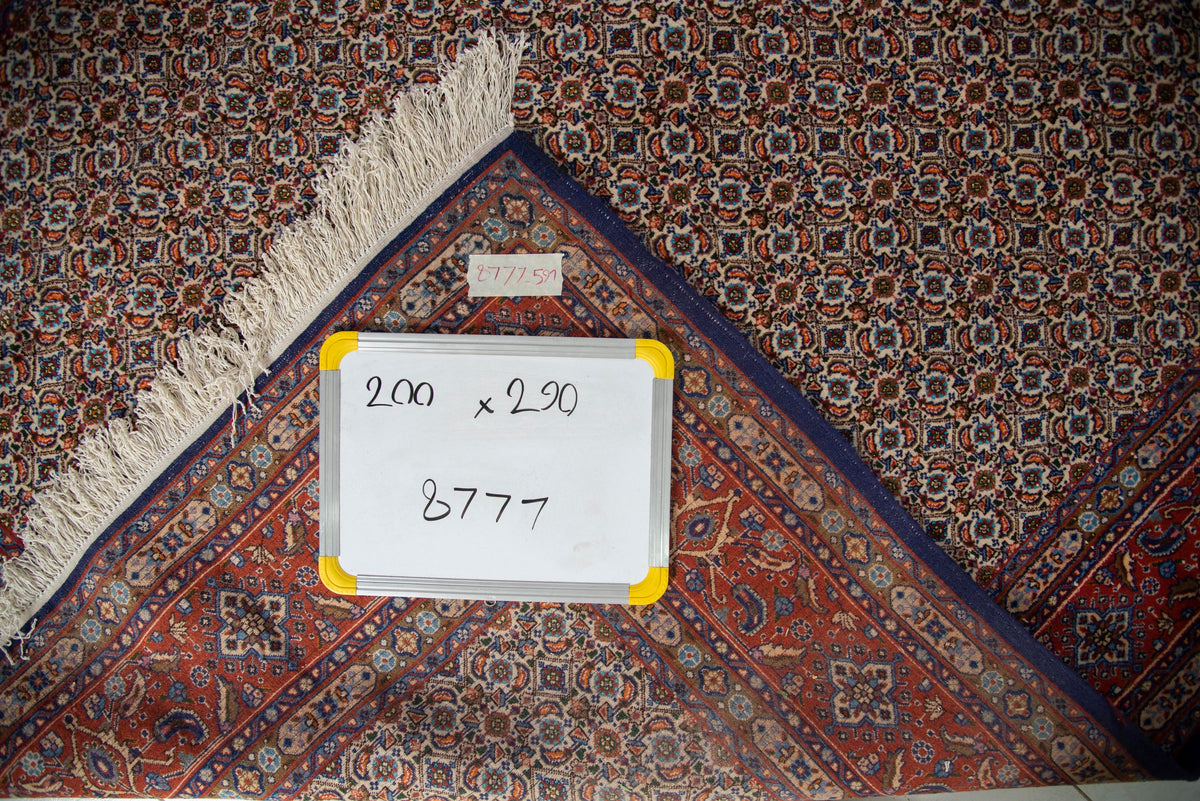 Moud Rug - 290 cm x 200 cm