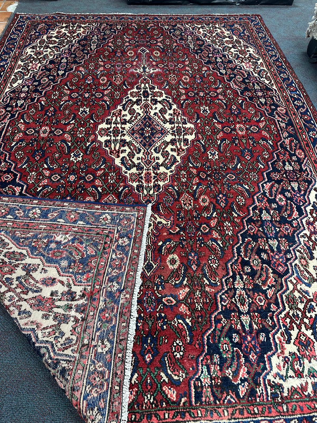 Hamadan Rug - 303 cm x 213 cm