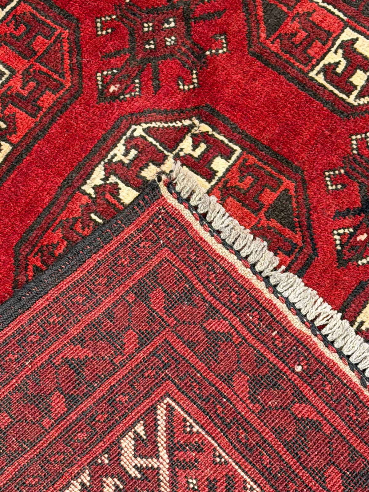 Turkoman Rug (Fine) - 276 cm x 209 cm