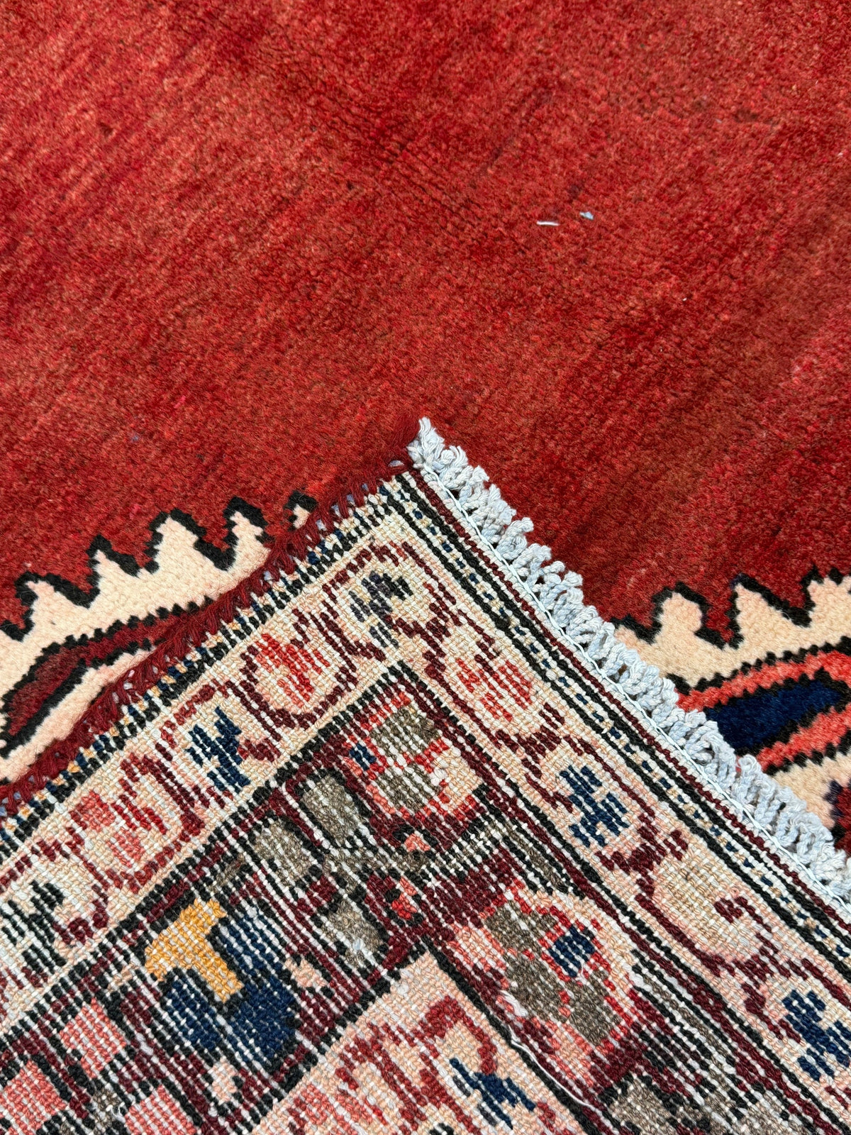Hamadan Rug - 300 cm x 175 cm