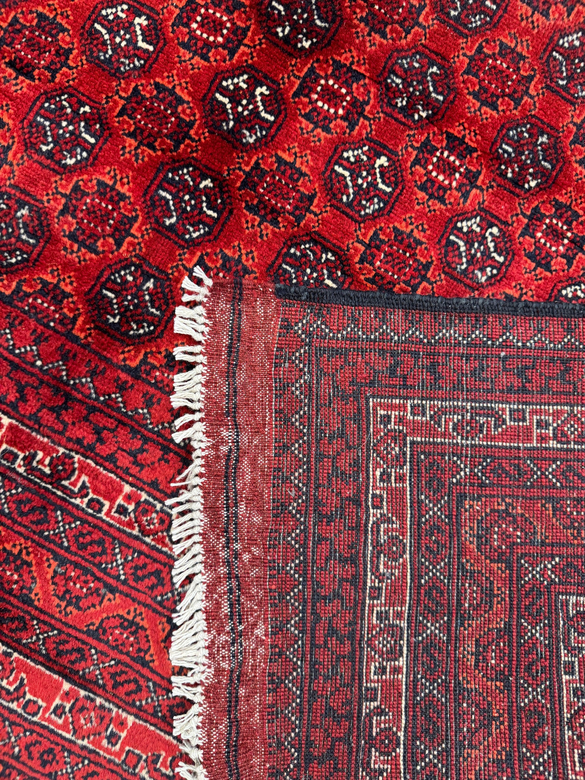 Roshnai Rug - 293 cm x 198 cm