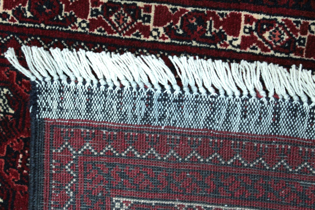 Roshnai Rug - 293 cm x 87 cm