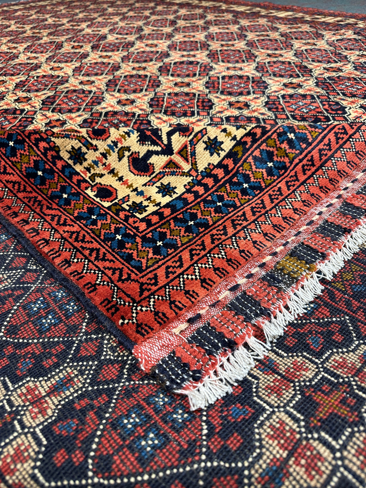 Kunduz Rug - 345 cm x 244 cm