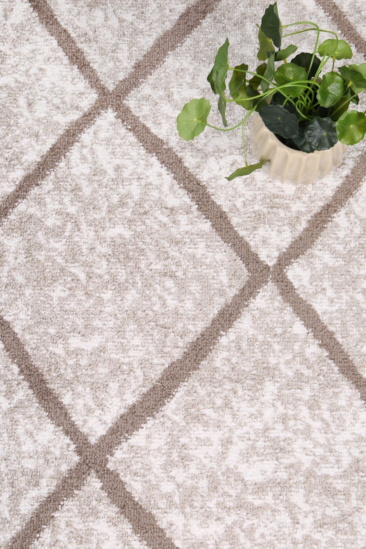 Kimberley 1 Trellis Latte Rug