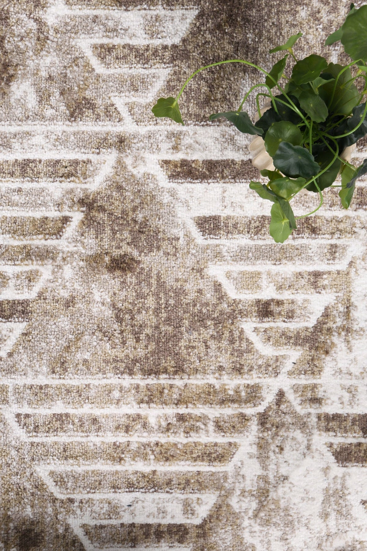 Kimberley 4 Matrix Geometric Latte Rug