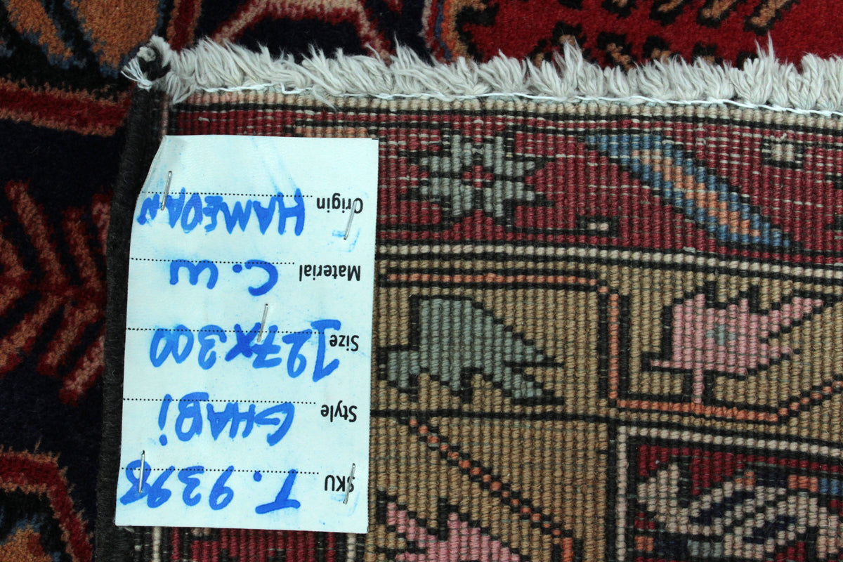 Hamadan Rug - 300 cm x 127 cm