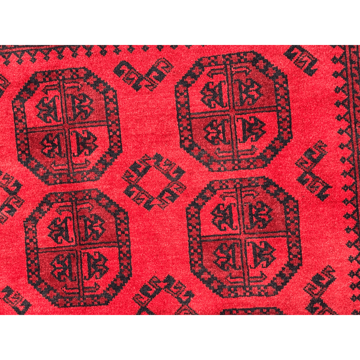 TURKOMAN