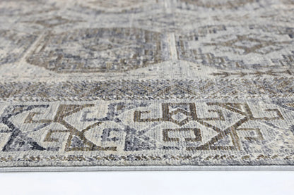 Asterya Lustrous Heritage Rug (19182 110)