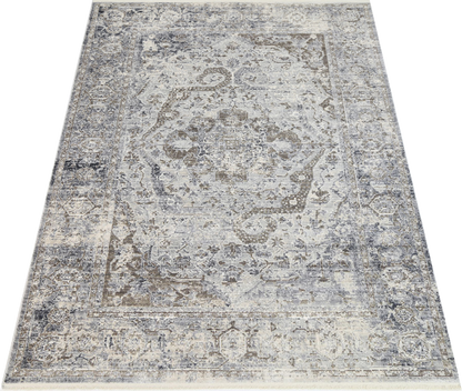 Asterya Lustrous Heritage Rug (19184 110)