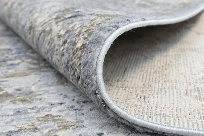 Asterya Lustrous Heritage Rug (19184 110)