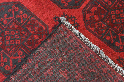 Turkoman Rug - 245 cm x 178 cm