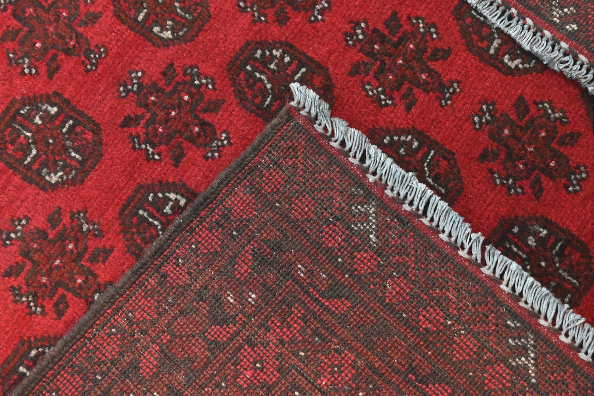 Turkoman Rug - 241 cm x 167 cm