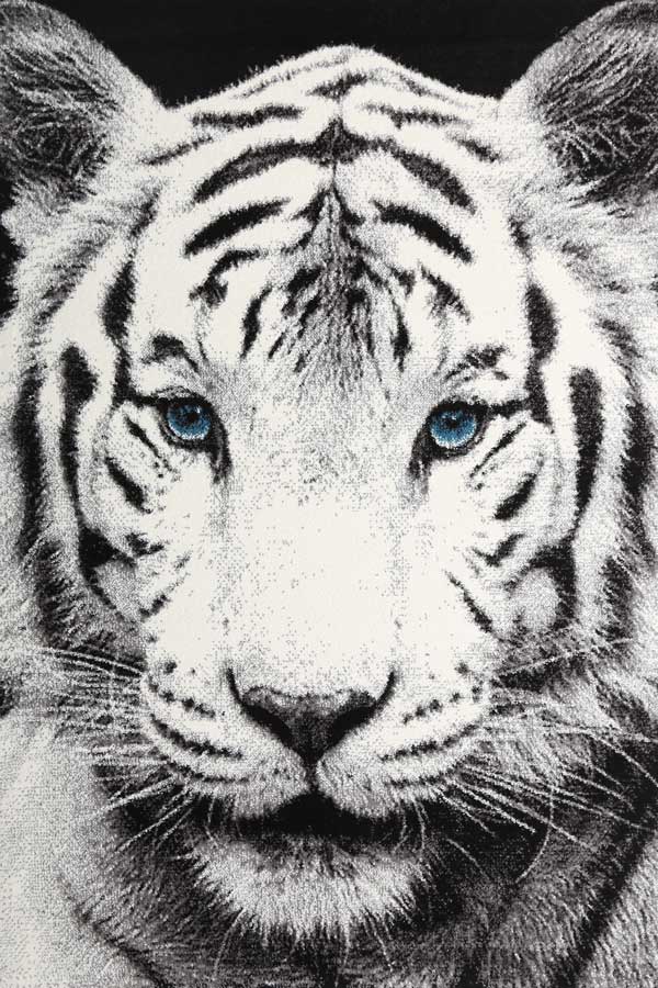 King of the Jungle Picture Rug