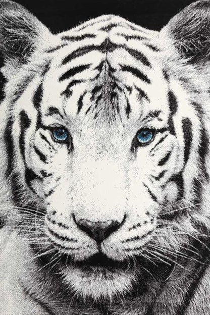 King of the Jungle Picture Rug
