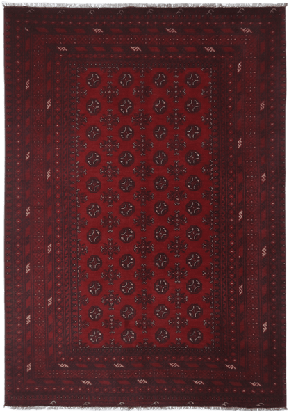 Turkoman Rug - 242 cm x 170 cm