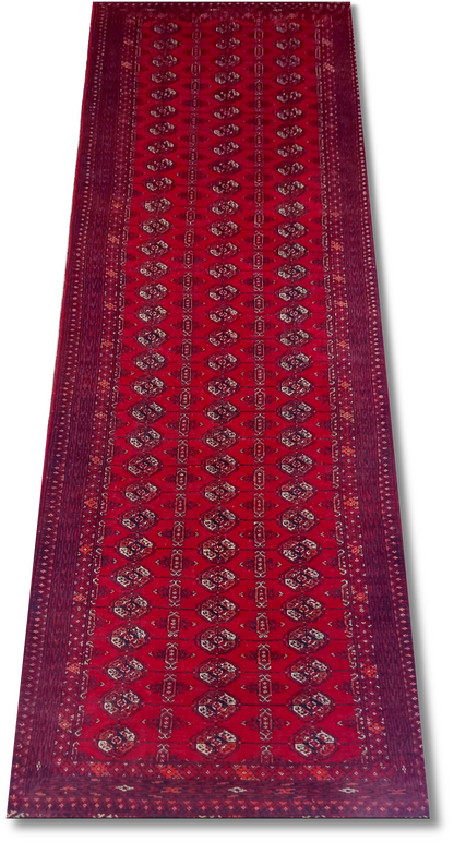 Roshnai Rug - 289 cm x 90 cm