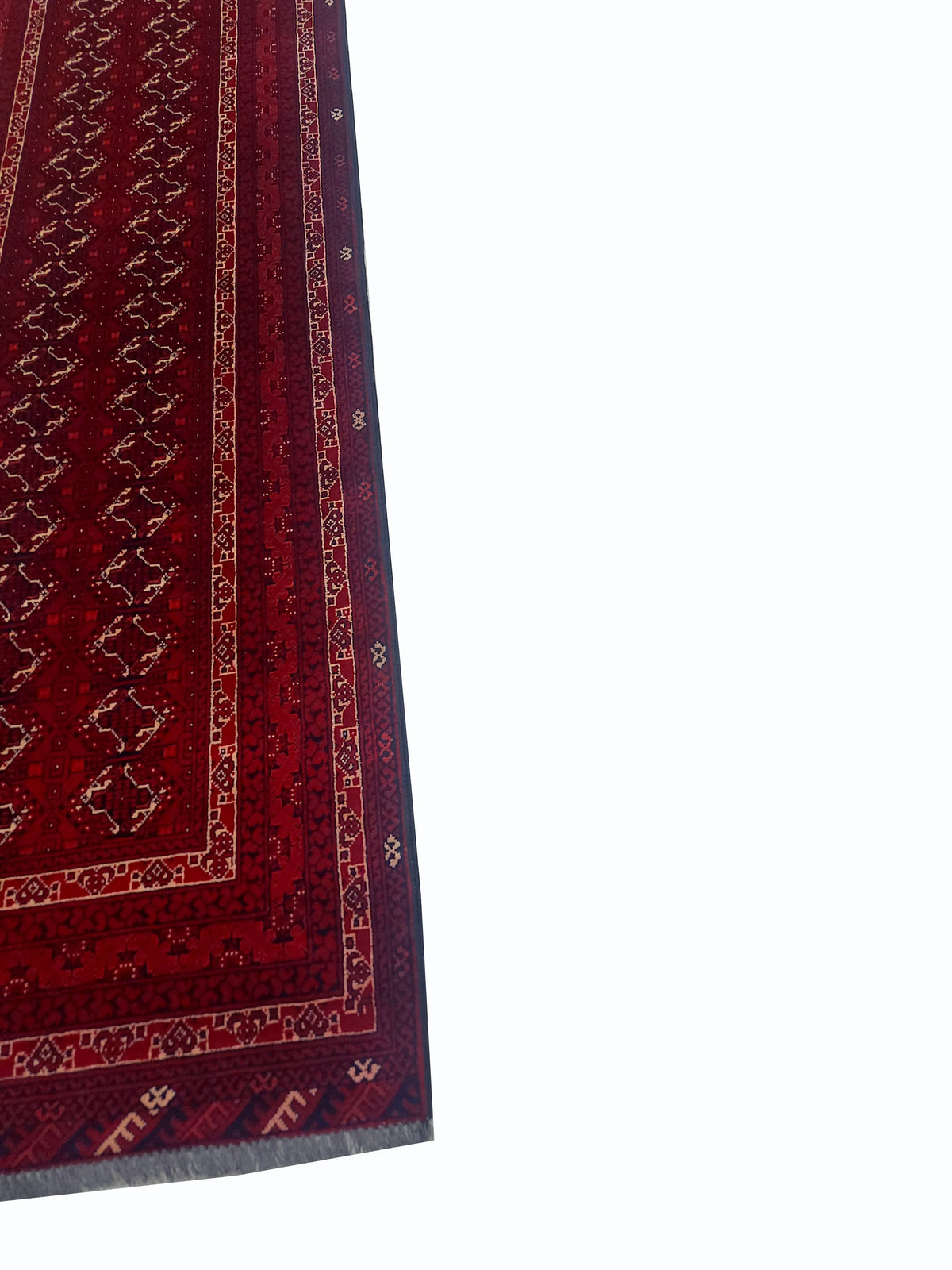 Roshnai Rug - 289 cm x 82 cm