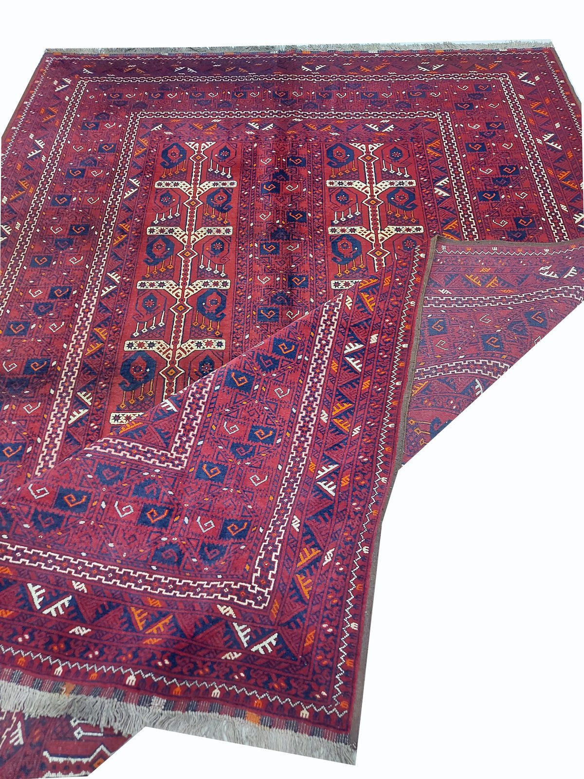 Roshnai Rug - 309 cm x 208 cm