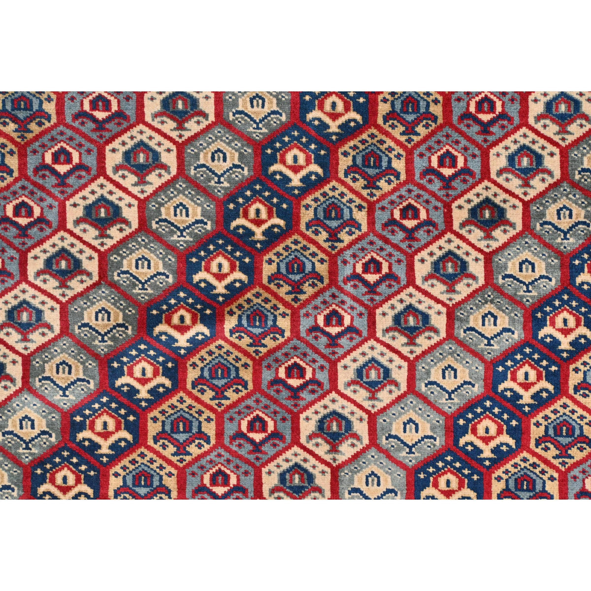 Shirvan Rug - 267 cm x 162 cm