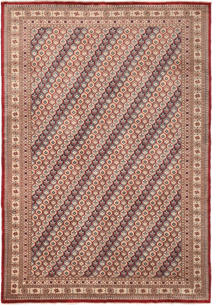 Shirvan Rug - 304 cm x 220 cm