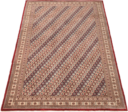 Shirvan Rug - 304 cm x 220 cm