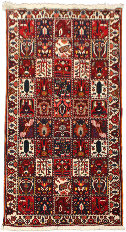 Bakhtiari Rug - 305 cm x 165 cm
