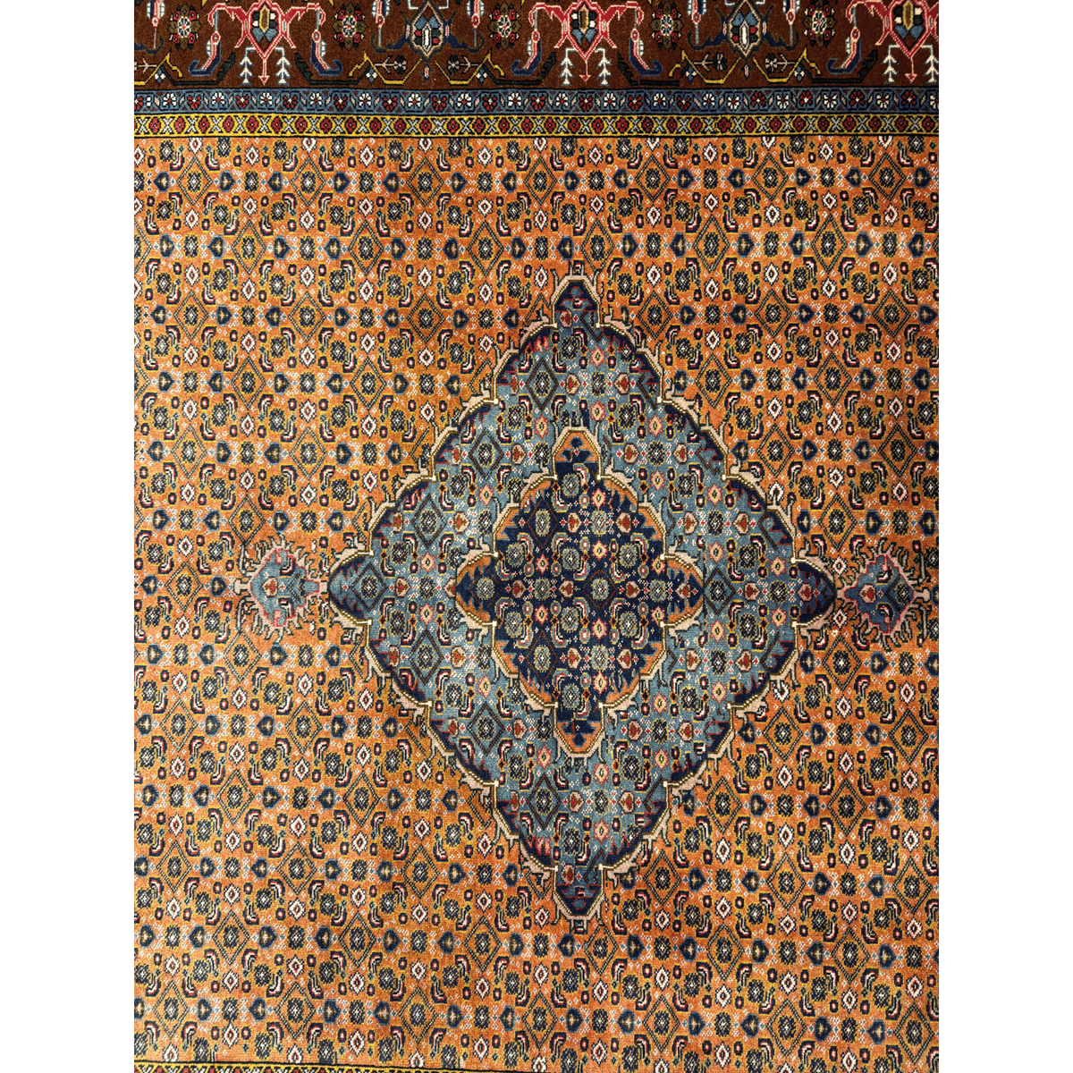 MASHAD