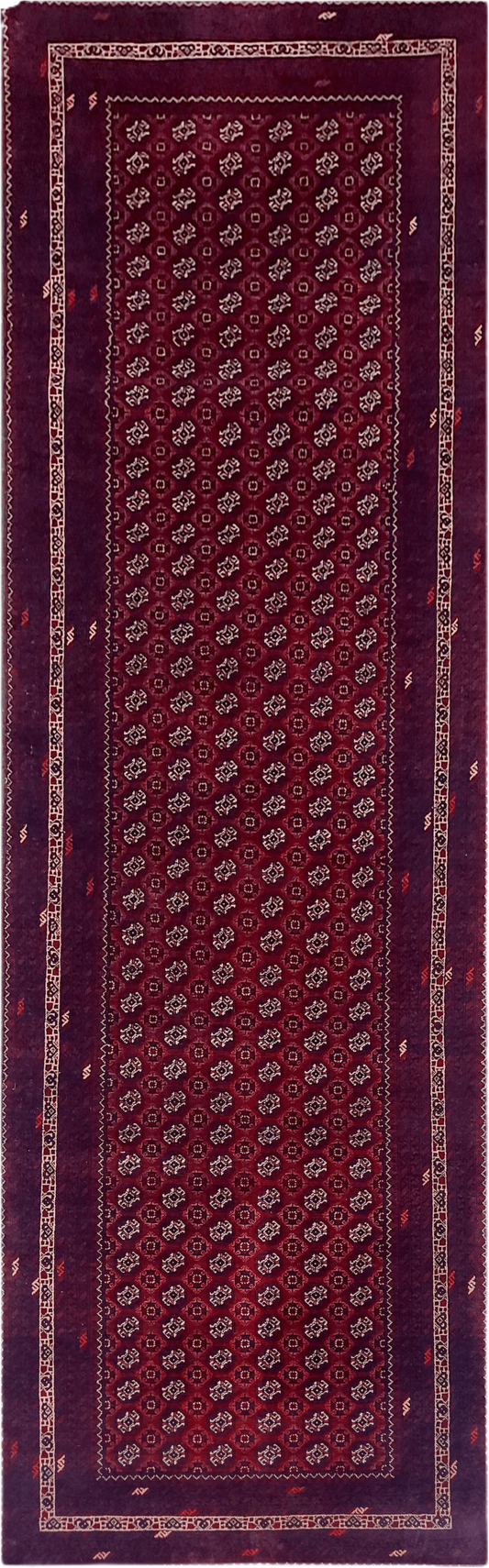 Roshnai Rug - 286 cm x 89 cm