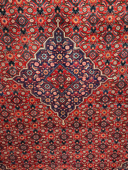 Arak Rug - 410 cm x 312 cm