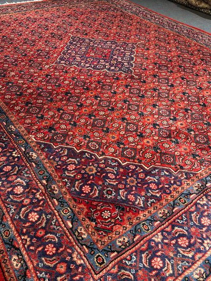 Arak Rug - 410 cm x 312 cm