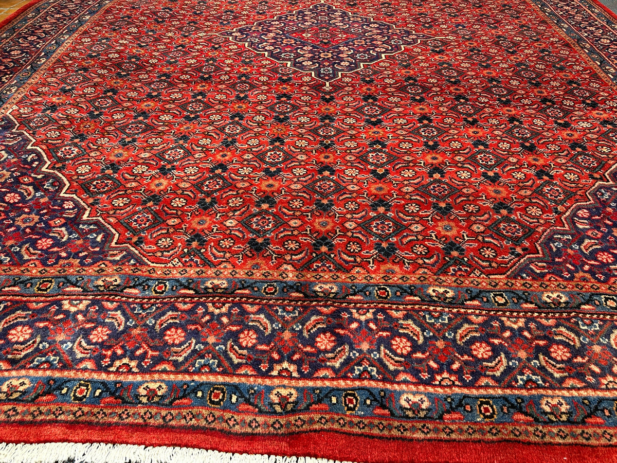 Arak Rug - 410 cm x 312 cm