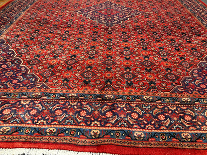 Arak Rug - 410 cm x 312 cm