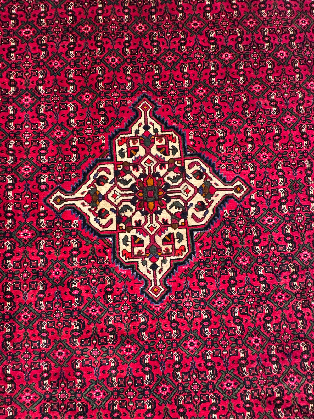 Hussainabad Rug - 295 cm x 200 cm