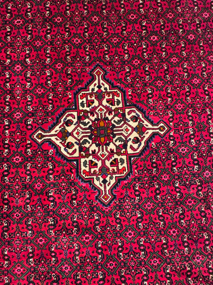 Hussainabad Rug - 295 cm x 200 cm
