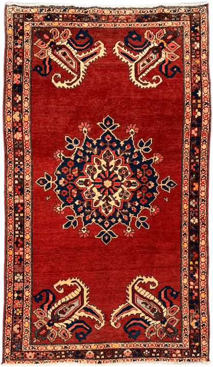 Hamadan Rug  - 300 cm x 175 cm