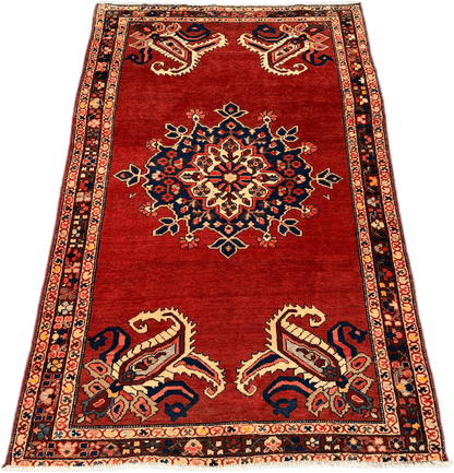 Hamadan Rug  - 300 cm x 175 cm