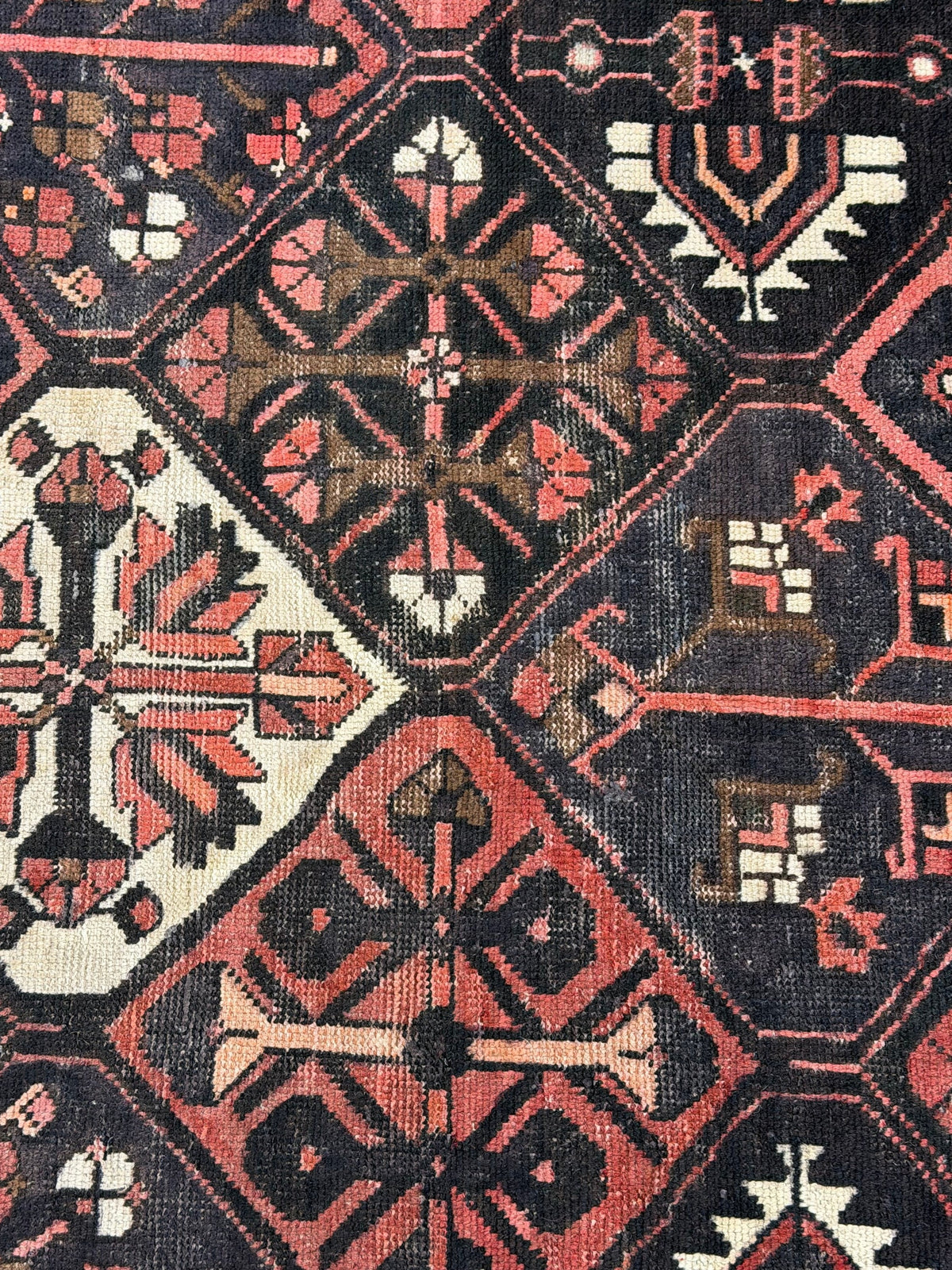 Bakhtiari Rug  - 297 cm x 200 cm