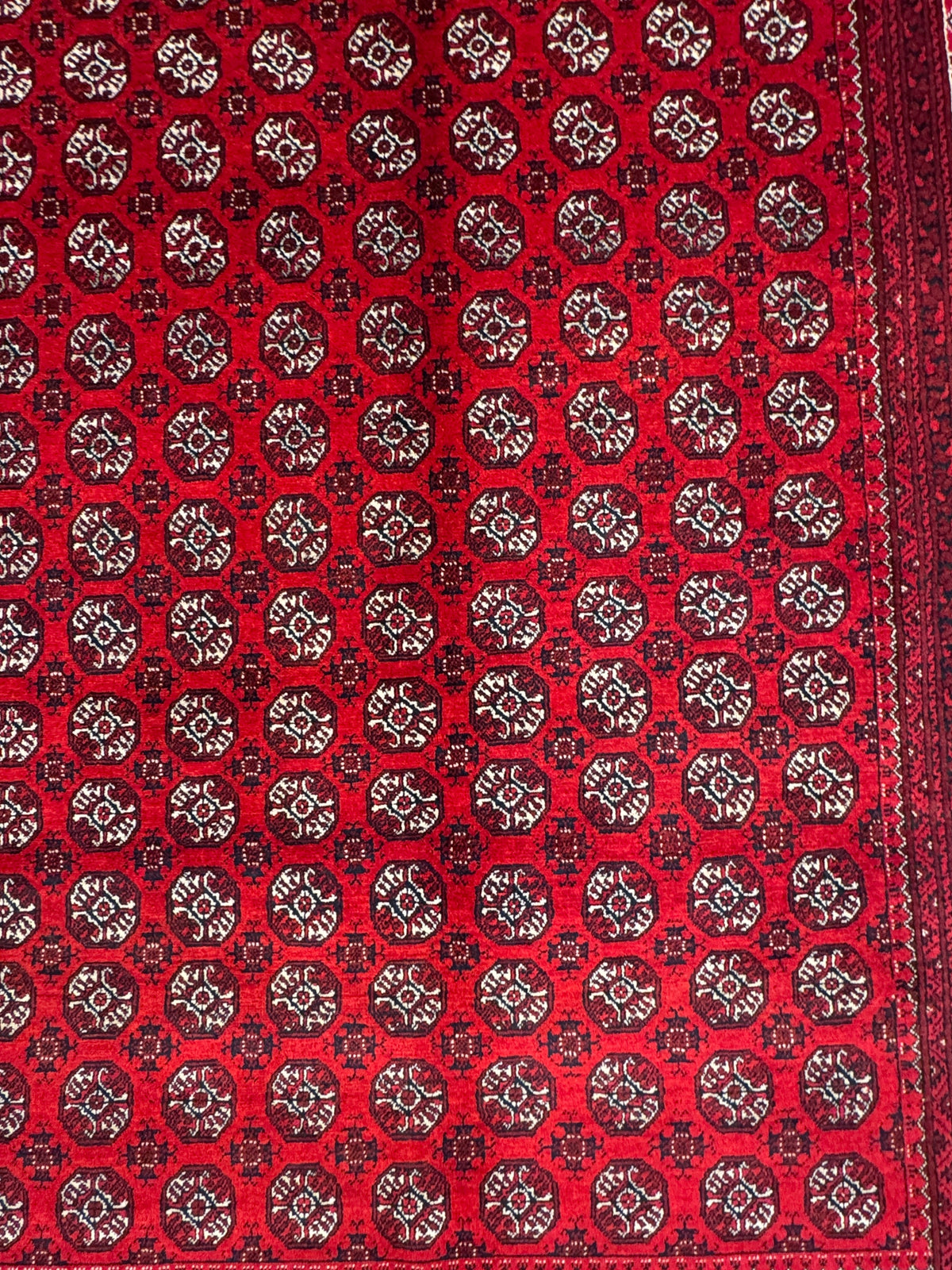 Roshnai Rug - 287 cm x 197 cm