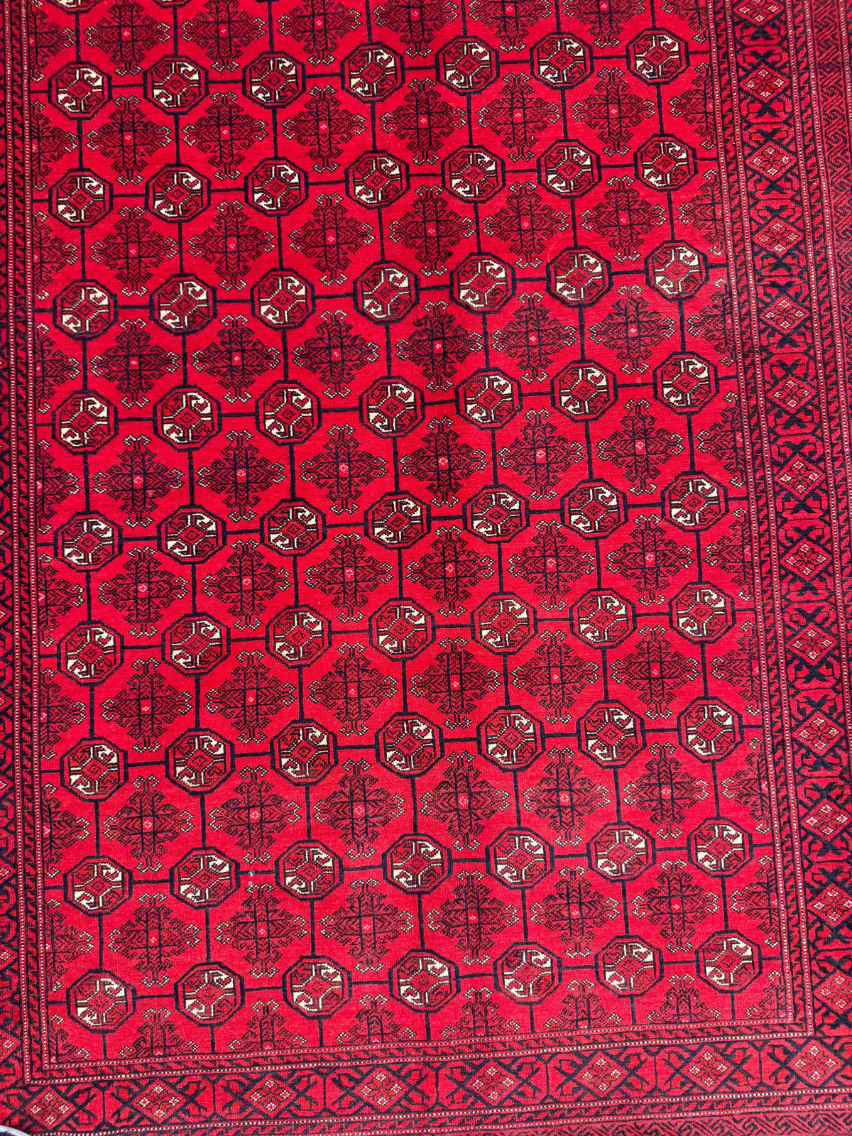 Roshnai Rug - 293 cm x 192 cm