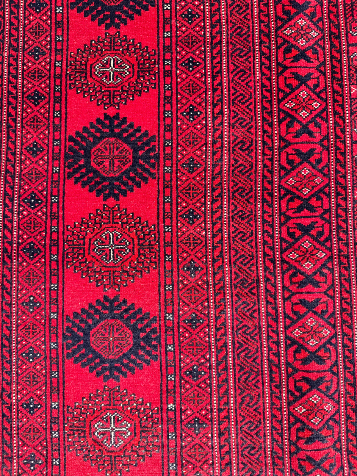Roshnai Rug - 293 cm x 192 cm