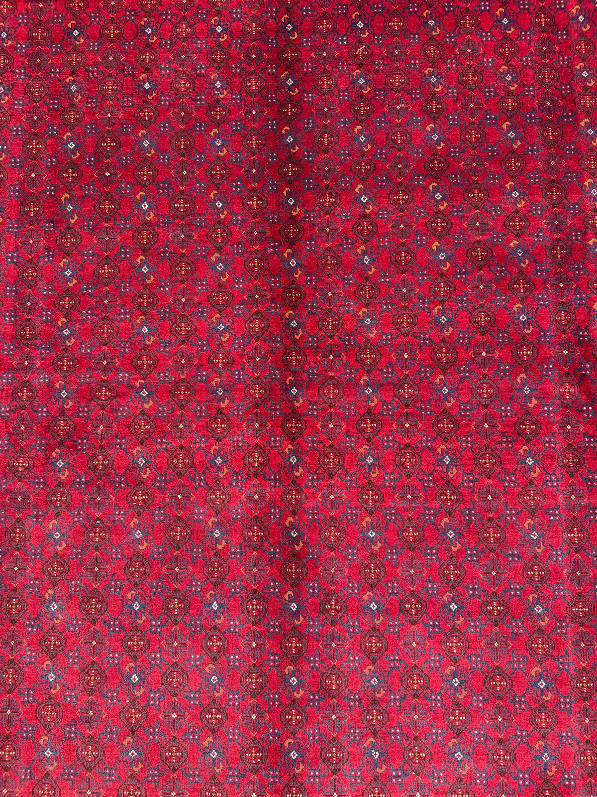 Roshnai Rug - 289 cm x 200 cm