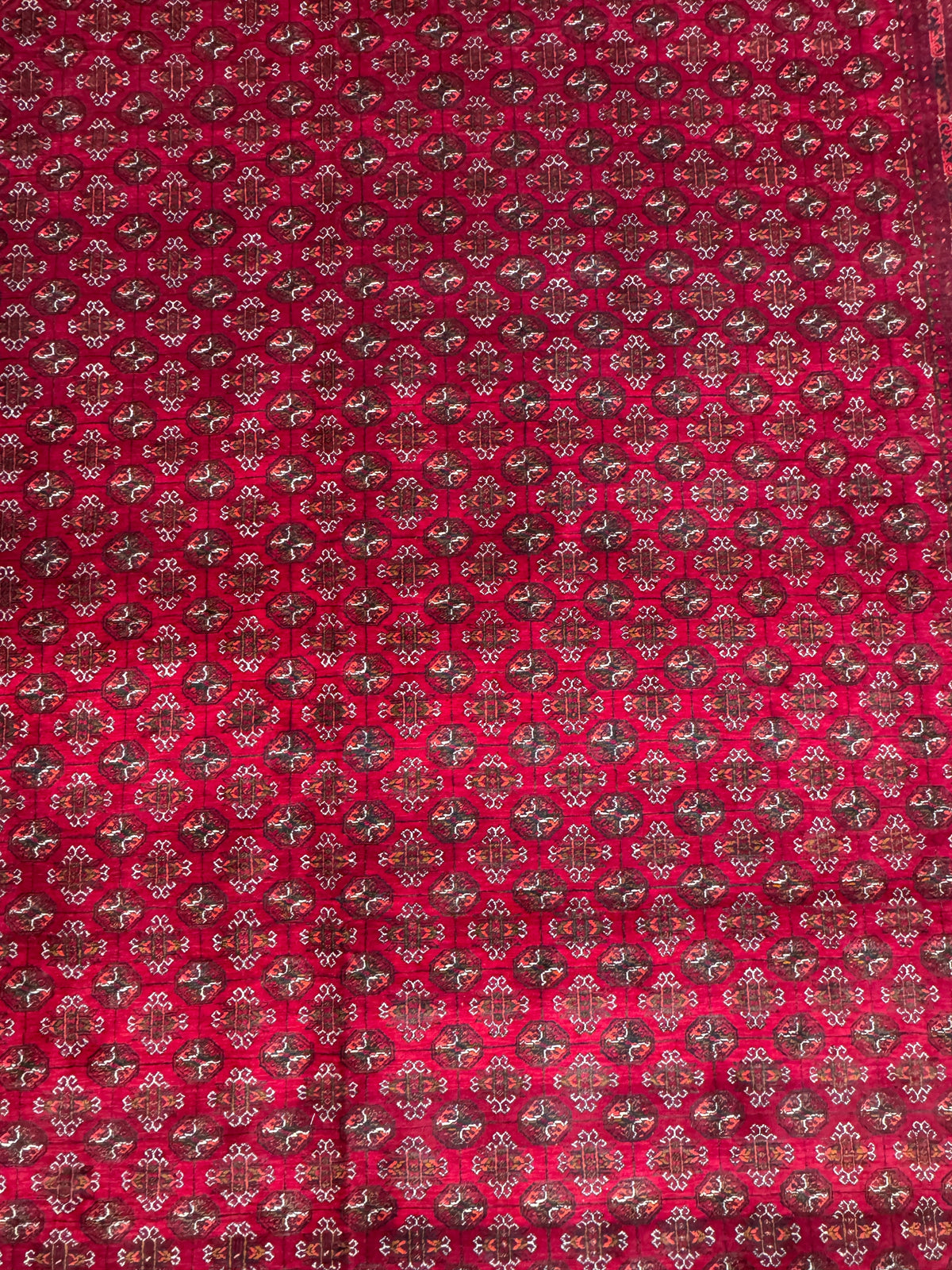 Roshnai Rug - 376 cm x 291 cm