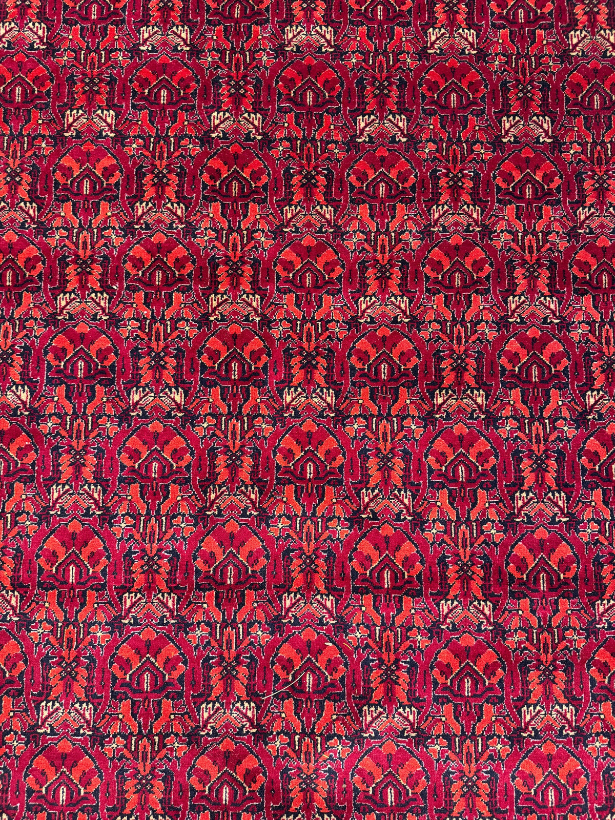 Kunduz Rug - 376 cm x 299 cm