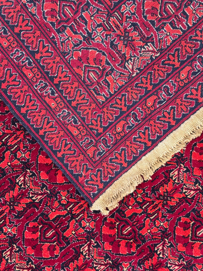 Kunduz Rug - 376 cm x 299 cm