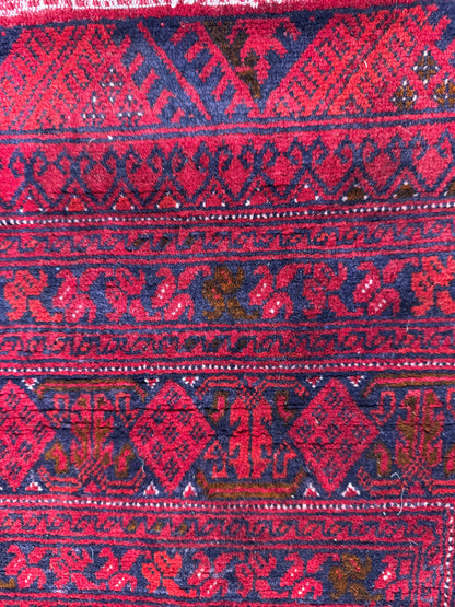 Roshnai Rug - 566 cm x 285 cm