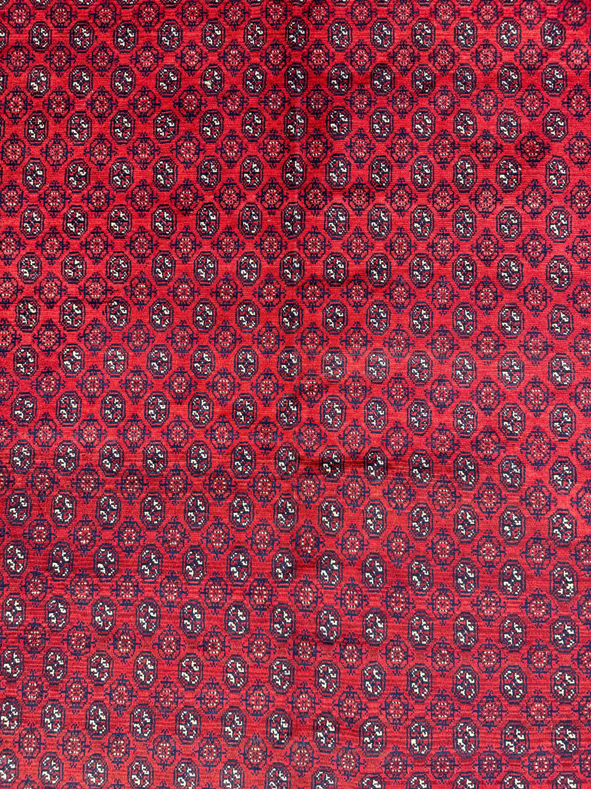 Roshnai Rug - 340 cm x 248 cm