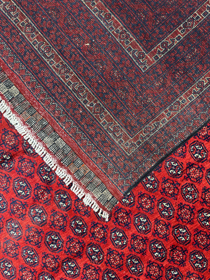Roshnai Rug - 340 cm x 248 cm