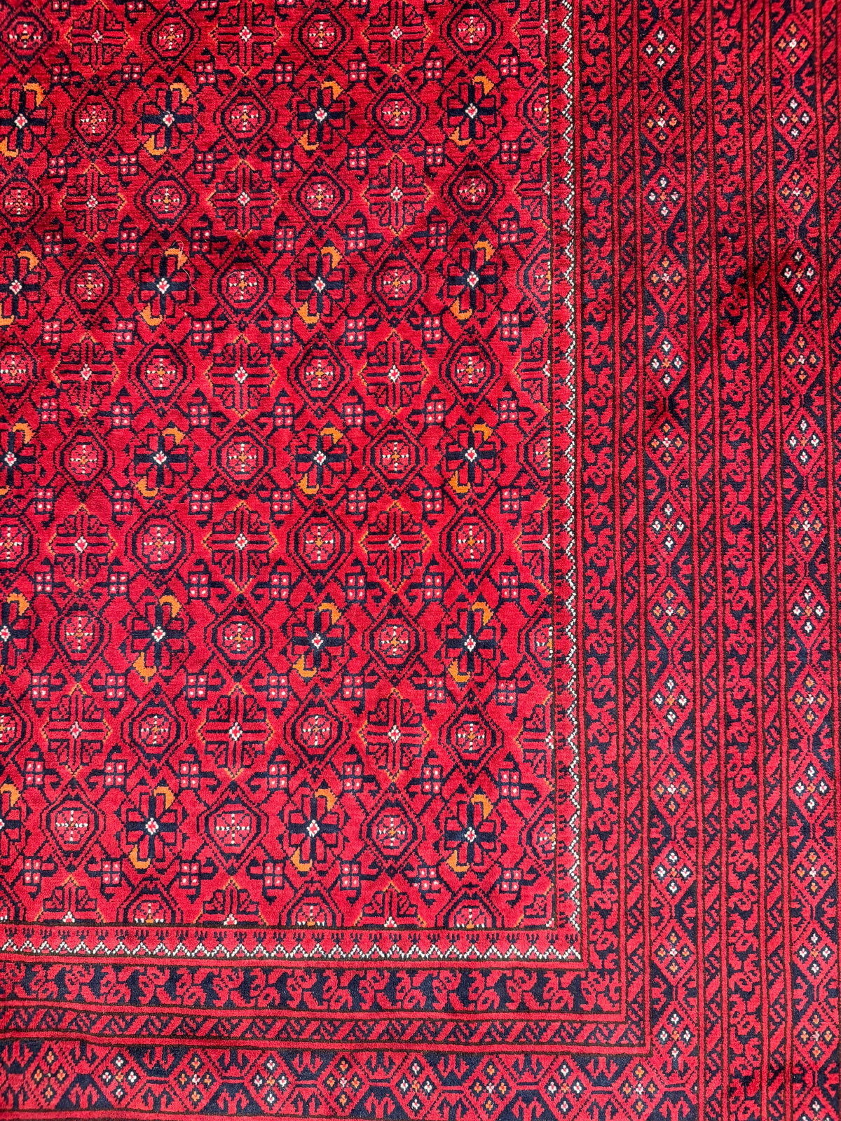 Kunduz Rug - 282 cm x 193 cm