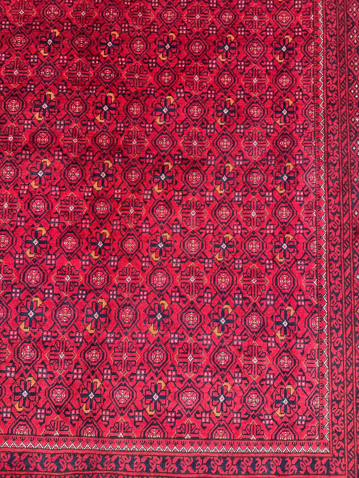 Kunduz Rug - 282 cm x 193 cm